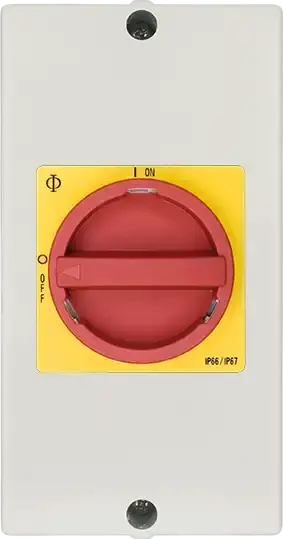 Kardeş Elektrik - KG80C T206/41 STM 6 kutuplu 80a kutulu emniyet şalteri - 1