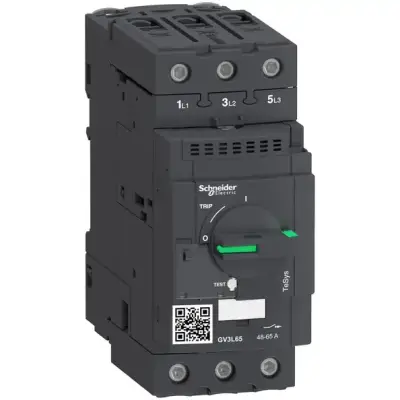 Schneider Electric - GV3L65 - TeSys GV3 - Devre kesici - manyetik - 65 A - EverLink konnektörler - 1