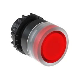 PUSHBUTTON CSW BFI1 01000000 FD66 3VF - 1